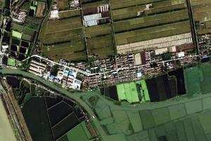 宝应湖农场卫星地图