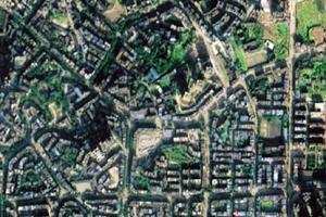 巴川卫星地图