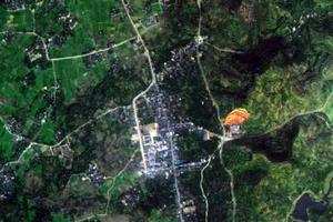 松林卫星地图