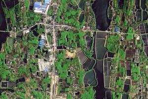 白澤湖衛星地圖