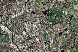 楠竹山衛星地圖