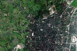 岳池卫星地图