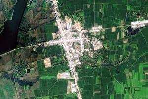 大林卫星地图