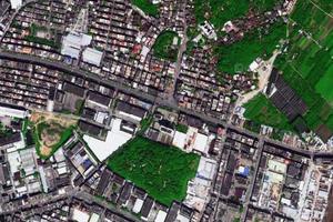 温塘社区卫星地图