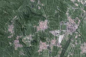 泰陵园村卫星地图