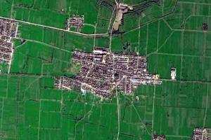 枣林卫星地图