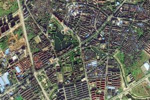 樟树市工业园区卫星地图