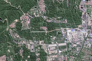 王莊村衛星地圖