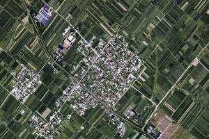 禹王卫星地图