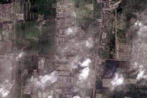 榆垡椿荷墅社区卫星地图