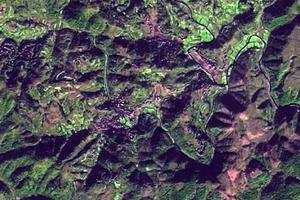 板栗树卫星地图