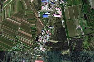 岭东区青山旅游公司卫星地图