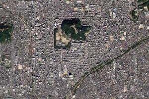松山卫星地图