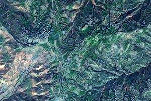 柳树卫星地图