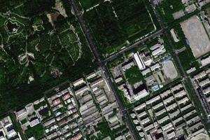 杭州路衛星地圖