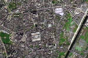 同乐街道卫星地图