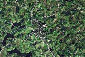 毗盧衛星地圖