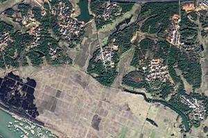 清湖卫星地图