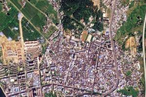 華僑農場衛星地圖