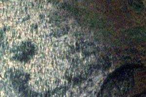 秋沙鸭自然保护卫星地图