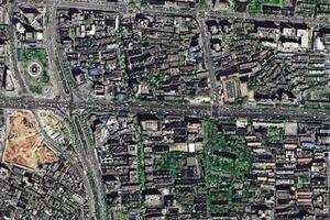 韭菜园卫星地图
