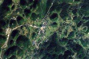 蓬东卫星地图