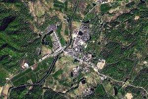 東山衛星地圖