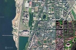 天馬華僑農場衛星地圖