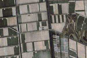 五農場衛星地圖