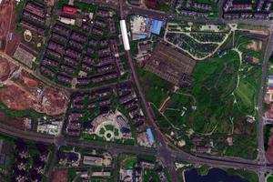 大竹林衛星地圖