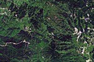 岳林卫星地图