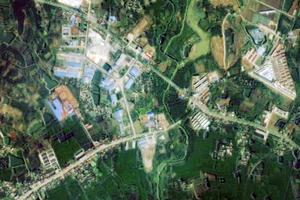 滁州高教科创城管委会卫星地图