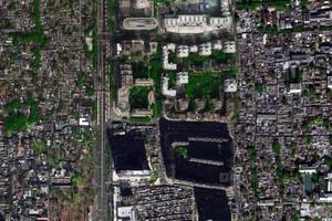 椿树园社区卫星地图