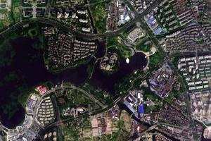 濱湖衛星地圖