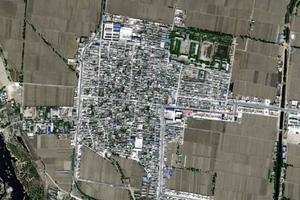 奇村卫星地图
