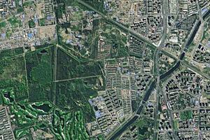陳營村衛星地圖