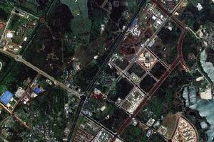 洋浦開發區衛星地圖