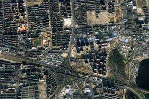 龍子湖衛星地圖