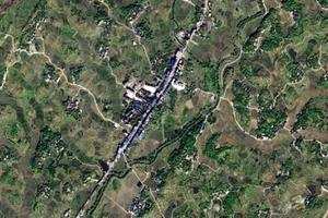 海棠卫星地图