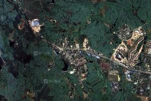 蘭興農場生活區衛星地圖