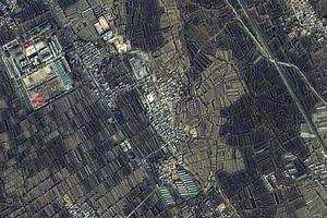 柳树卫星地图