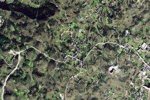 竹园卫星地图