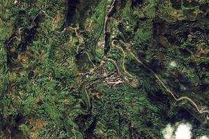 丹桂卫星地图