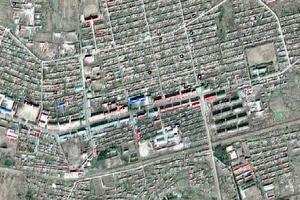 汤洪岭林场卫星地图