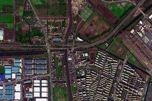 芦潮港卫星地图