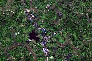 宝林卫星地图