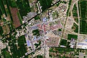 金貴衛星地圖